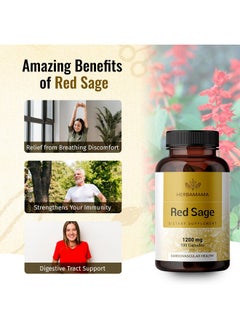 HERBAMAMA Red Sage Capsules Organic Dan Shen Root Powder Supplement Salvia Miltiorrhiza Pills 1200Mg 100 Vegetarian Caps  - Image 4