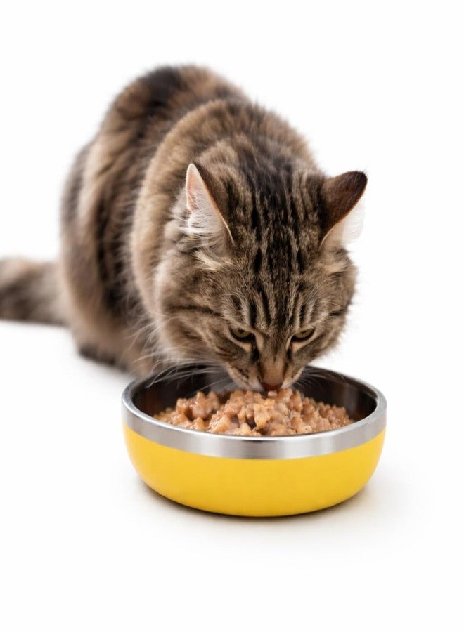 Zigly Lifestyle Meow Dish Double-Walled Cat Bowl - Whisker-Friendly, Anti-Slip Feeding Bowl for Cats, Yellow - Image 1