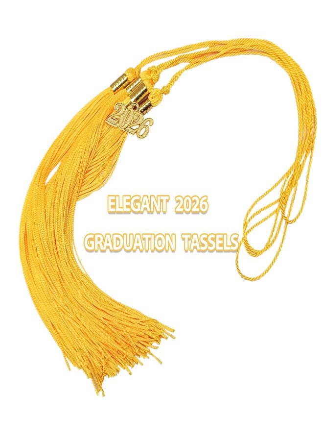 EaciTown 10 Pack 2026 Graduation Tassels with Grad 2026 Charms Pendent for Class of 2026 Academic Graduate Parties Ceremonies (Black) - Image 4