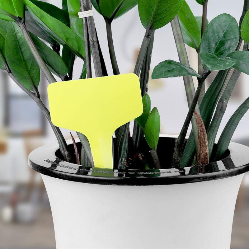 KINGLAKE 100 Pcs 6 x10cm Plastic Plant T-Type Tags Yellow Nursery Garden Labels - Image 3