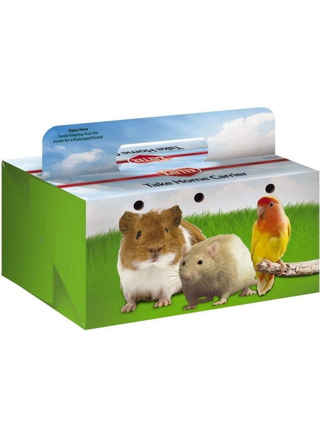 Kaytee Take-Home Box, Large - Image 1