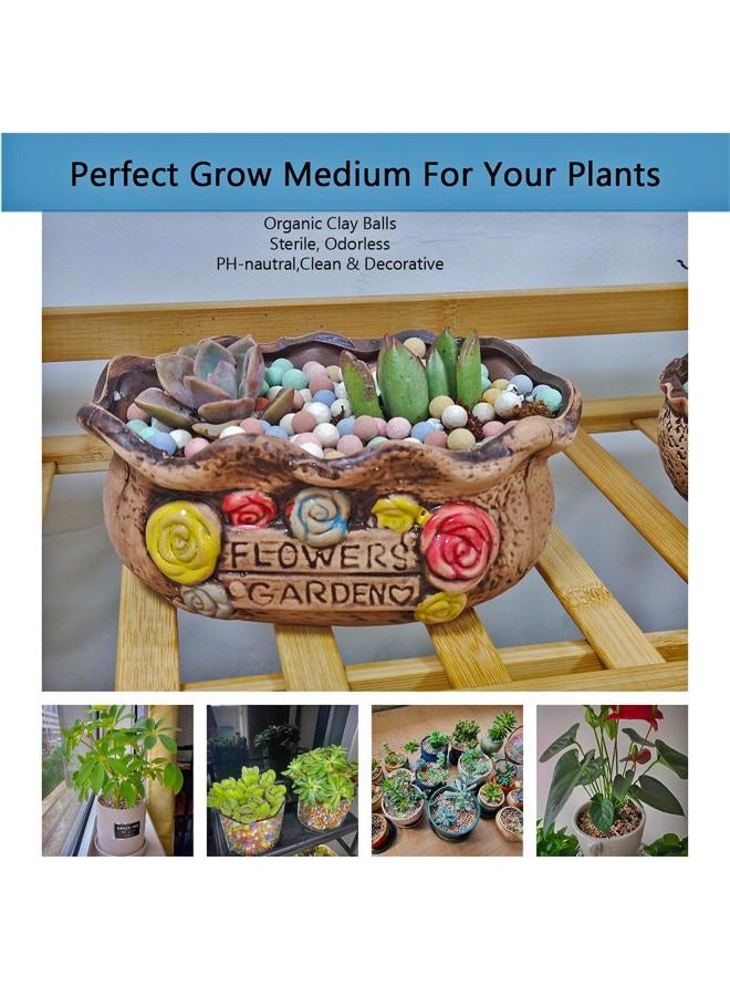 Rurtsva Natural Organic Colorful Leca Balls for Plants, 8mm-10mm Ceramsite Clay Pebbles Indoor Potting Garden Soil for Orchid, Succulents, Hydroponics, Decoration, Drainage (2LBS, Colorful, 1) - Image 3