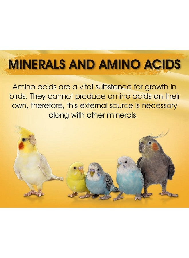 Boltze Immunity Booster For All Birds For Healthy Growth With Essential Vitamins, Minerals And Amino Acids-100Ml, Transperent, Small - Image 4