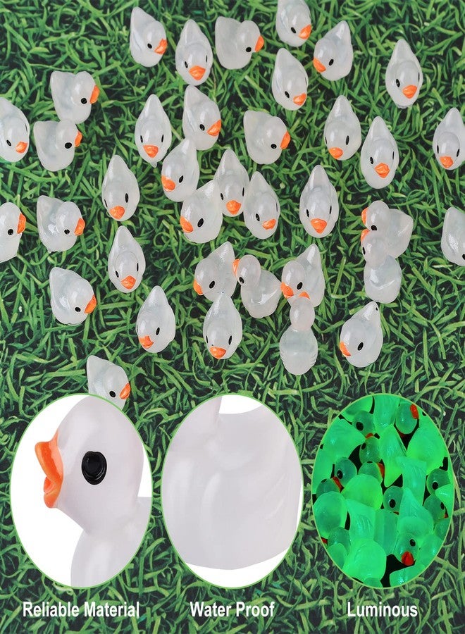 KINBOM 100pcs Mini Luminous Resin Ducks for Crafts, Tiny Ducks Miniature Figures for Aquarium Garden Landscape Dollhouse Ornament Small Potted Decorations DIY - Image 5