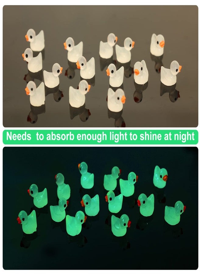 KINBOM 100pcs Mini Luminous Resin Ducks for Crafts, Tiny Ducks Miniature Figures for Aquarium Garden Landscape Dollhouse Ornament Small Potted Decorations DIY - Image 4