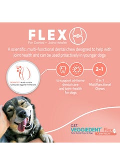 C.E.T. Veggiedent Flex Tartar Control Chews For Dogs  Large - pzsku/Z75BA70249FB7740C2FEBZ/45/_/1726218874/461d2944-cc45-46a7-99a8-db2c1c6bf6c0