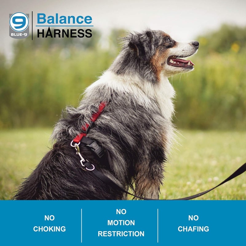 Blue-9 Buckle-Neck Balance Harness, Fully Customizable Fit No-Pull Harness, Ideal for Dog Training and Obedience, Made in The USA, Hunter Green, Medium - Image 3