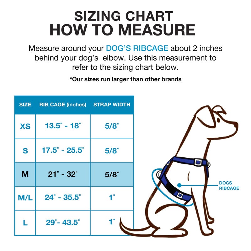 Blue-9 Buckle-Neck Balance Harness, Fully Customizable Fit No-Pull Harness, Ideal for Dog Training and Obedience, Made in The USA, Hunter Green, Medium - Image 2
