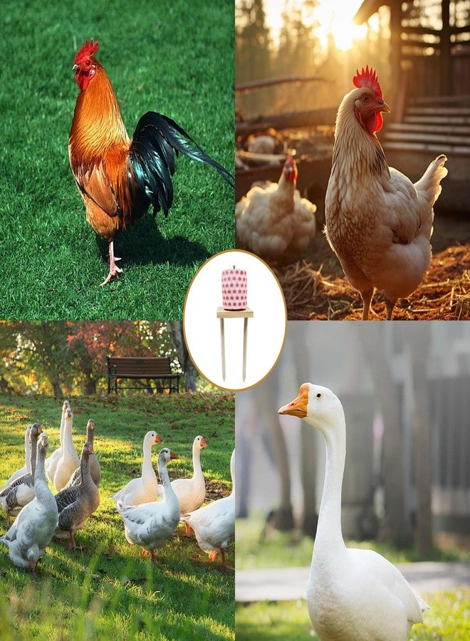 MHLLGN Chicken Coop Accessories, Beak Grinding Calcium Stone with Woodem Stake, Chicken Enrichment Toys, Chicken Coop Toys for Hens, Ducks, Geese, Turkeys, Poultry - Image 4