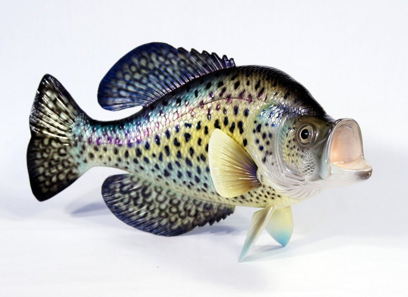 XL Handpainted Crappie Statue Game Fish Replica 15"" Small Dot - Image 1