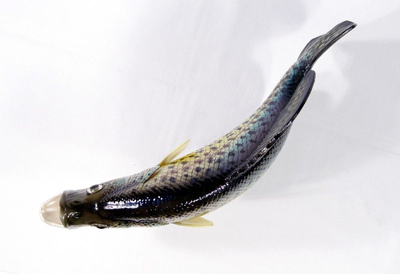 XL Handpainted Crappie Statue Game Fish Replica 15"" Small Dot - Image 4