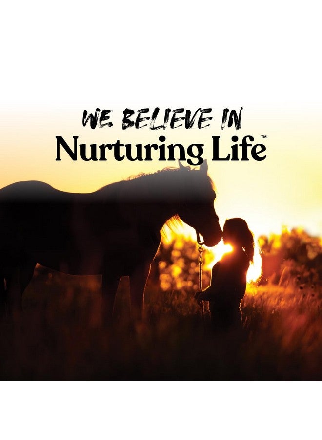 مانا برو قطع صغيرة من الدجاج للخيول - مكافآت تدريب الخيول بحجم الجيب - مكافآت بنكهة التفاح - تحتوي على فيتامينات ومعادن - طعم رائع مضمون - 4 أرطال - Image 4