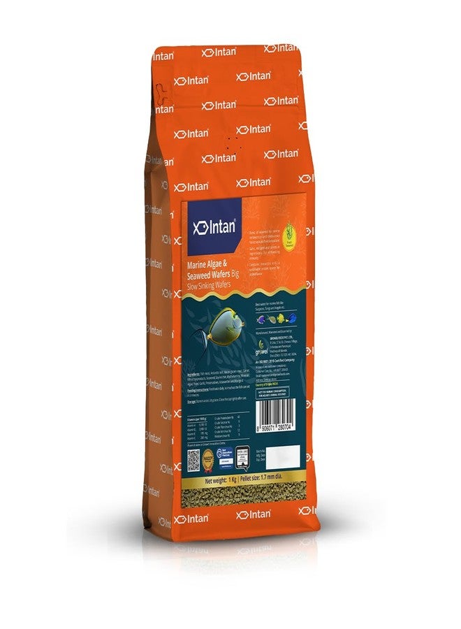 Intan Marine Algae & Seaweed Wafers (Big 1.7mm Slowly Sinking) | 1Kg - Highly Nutritious Ornamental Fish Food for Marine Fish - Surgeons, Tangs & Angels | Growel Feeds - Image 1