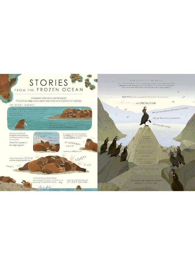 كوكب مجمد II - Image 4