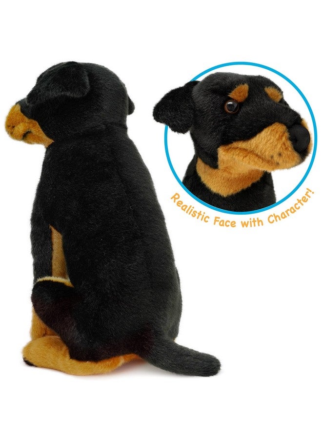 VIAHART Ronin The Rottweiler | 14 Inch Stuffed Animal Plush | By Tigerhart Toys - Image 4