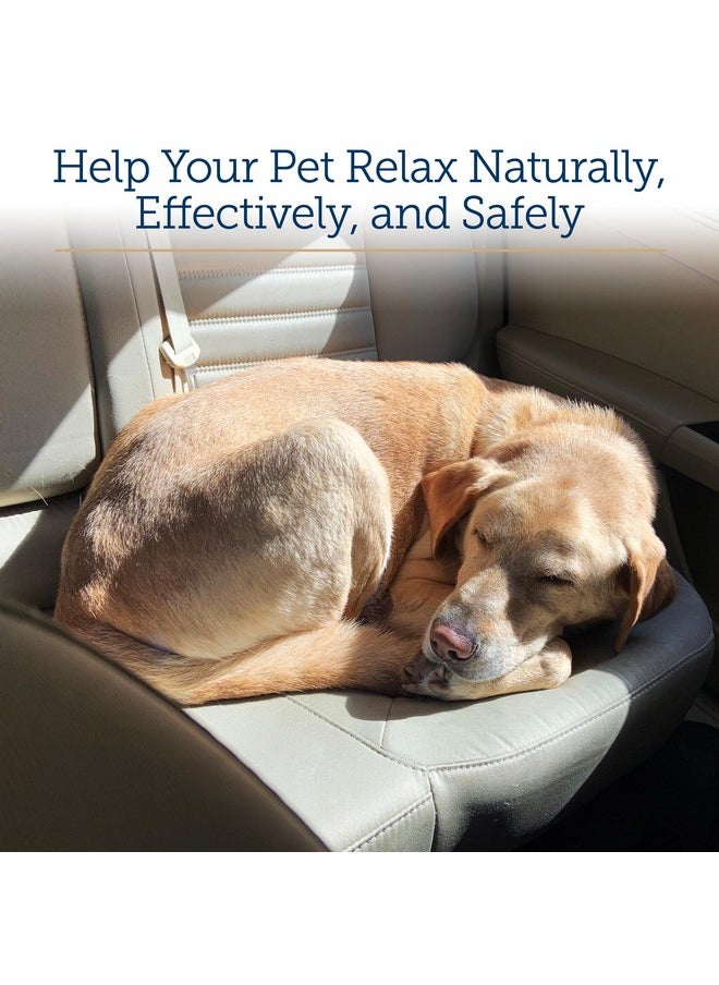 Rx Vitamins Rx Vitamins Liquid NutriCalm Cat & Small Dog Anxiety Relief - Sleep Aid - Calming Supplement - Dog Bark Control & Stress Relief - Salmon Flavor - 4 oz  - Image 3