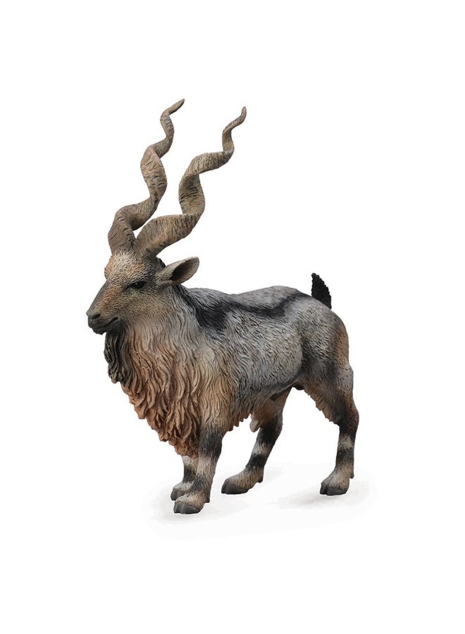 Collecta - Tadjik Markhor - 88641