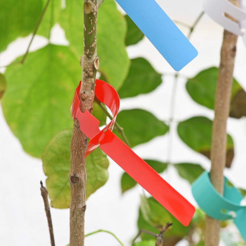 MGTECH 500 Pcs Wrap Around Adjustable Plant Tree Hanging Tags, Plastic Nursery Garden Waterproof Labels, Large Writing Surface (20x2cm, 5 Colors) - Image 5
