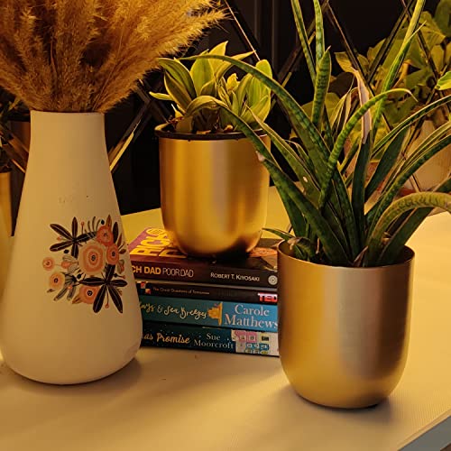 INSHREYS Mid Century Set of 2 Flower Pot Vase for Home Decoration Living Room Stand for Home Decoration, Balcony Garden Handing Indoor Round Metal Planter Pot Set- Flower Vase Pots for Living Room - Image 4