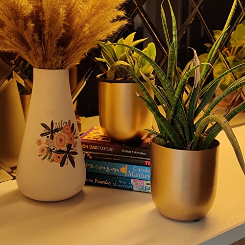 INSHREYS Mid Century Set of 2 Flower Pot Vase for Home Decoration Living Room Stand for Home Decoration, Balcony Garden Handing Indoor Round Metal Planter Pot Set- Flower Vase Pots for Living Room - Image 3