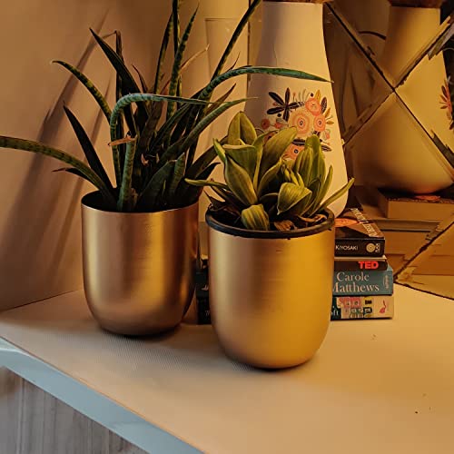 INSHREYS Mid Century Set of 2 Flower Pot Vase for Home Decoration Living Room Stand for Home Decoration, Balcony Garden Handing Indoor Round Metal Planter Pot Set- Flower Vase Pots for Living Room - Image 1