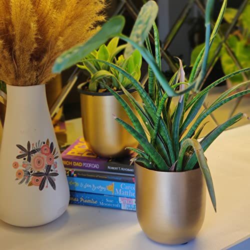 INSHREYS Mid Century Set of 2 Flower Pot Vase for Home Decoration Living Room Stand for Home Decoration, Balcony Garden Handing Indoor Round Metal Planter Pot Set- Flower Vase Pots for Living Room - Image 2