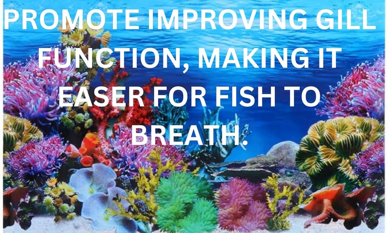 Nitishree Aquarium Salt for Goldfish, Betta Fish, Marine Fish – 500 Gm - Image 3