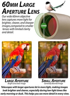 DBLEW 25-75x60 High Power Spotting Scope with Metal Tripod & Phone Adapter, BAK4 Prism & FMC Lens for Bird Watching, Hunting, Wildlife Adventure Photography, Outdoor Camping, Target Shooting, Waterproof and Fog Proof Telescope with Carry Case & Accessories Low Light Vision 60mm Objective Diameter  - Image 4
