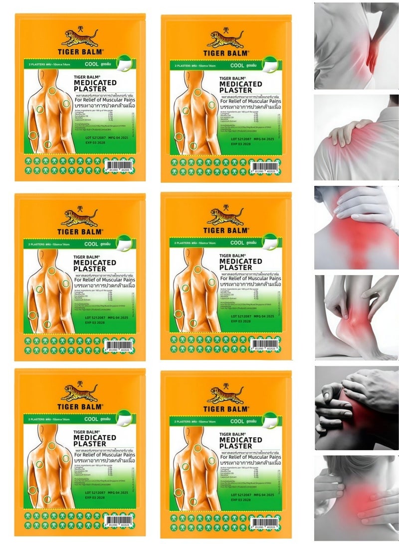 ضمادة مرهم النمر RD (عبوة من 6 قطع) | تسكين سريع للألم مع إحساس بالبرودة | مقاس كبير 10 سم × 14 سم | تسكين موضعي للعضلات والمفاصل والآلام | سهل الاستخدام، راحة تدوم طويلًا - Image 1