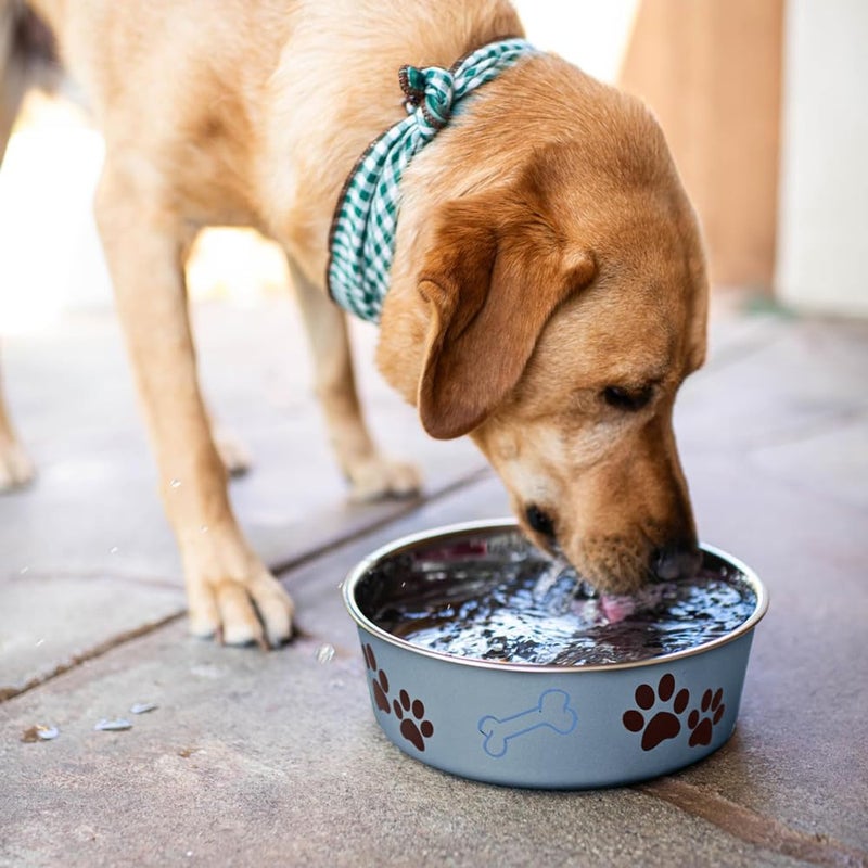Loving Pets Bella Dog Bowls- Stainless Steel Dog & Cat Bowls - Spill Proof Dog Food Bowl, Cat Bowl, Puppy Essentials & Pet Supplies Great for Home & Travel (Large 35-65 lbs, Blueberry) - Image 5