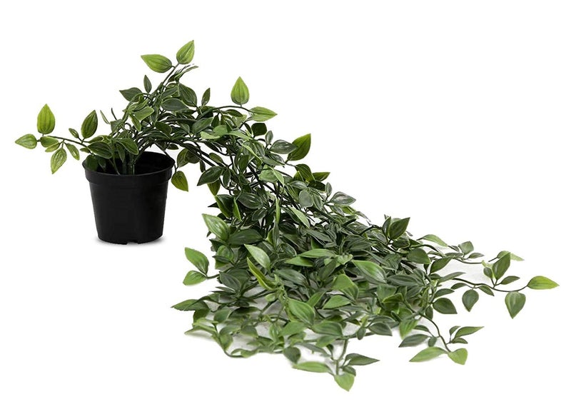 PAPERI Artificial Hanging Plant for Home Decor – Balcony Decoration Items, Outdoor Garden Decorative Fake Plant, Plastic Vine Leaves with Pot, Long Green Leaf Vines for Living Room (Pack of 12) - Image 4