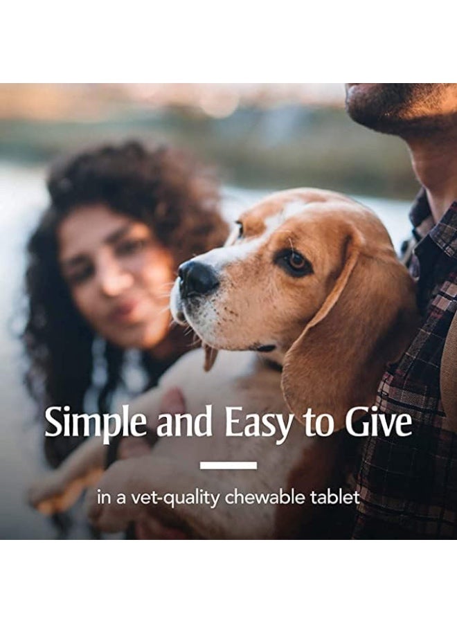 Defender Plus Deworming Tablet for Dogs of All Life Stages (Pack of 1) | Natural & Herbal Ingredients | - Image 3