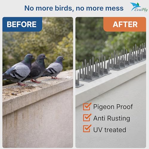 Evafly Birds Spike for Pigeon | Pack 40 Strong Uv Treated Unbreakable Spikes| Uses at AC Cabinate Windows Railing - Grey (Cover 10 Feet) - Image 3