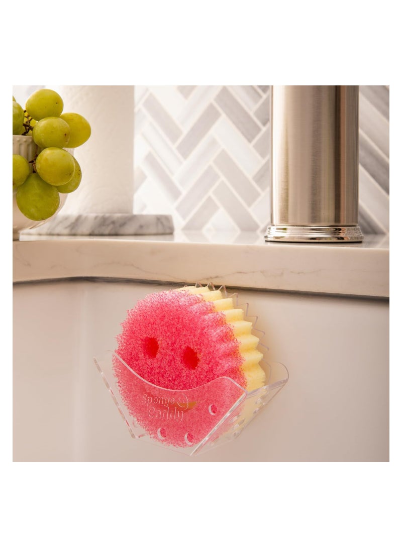 سكراب دادي العلبة الإسفنجية - Image 4