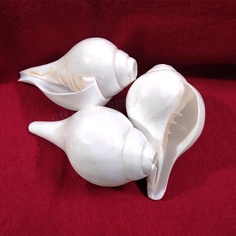 Om Pooja Shop Right Hand Holding Bajane Wala Conch Shankh - Image 3