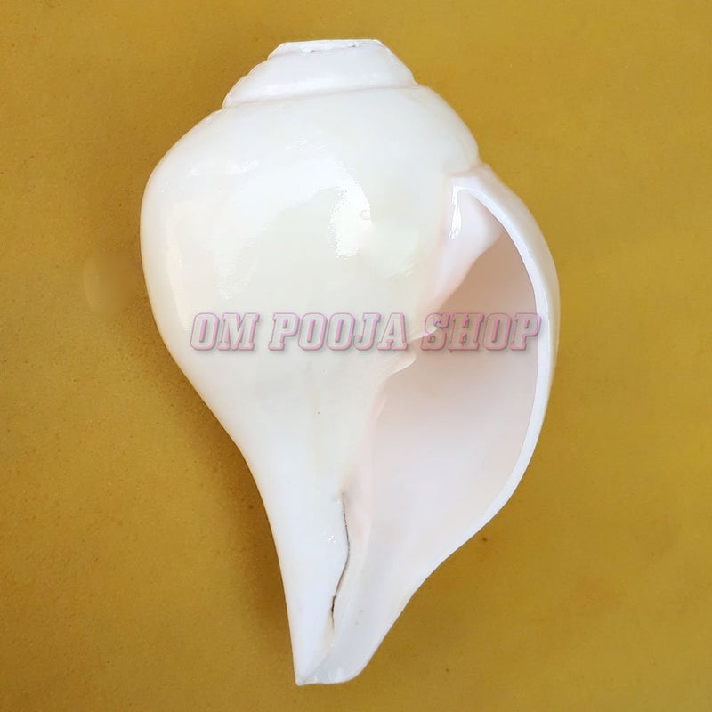 Om Pooja Shop Right Hand Holding Bajane Wala Conch Shankh - Image 1