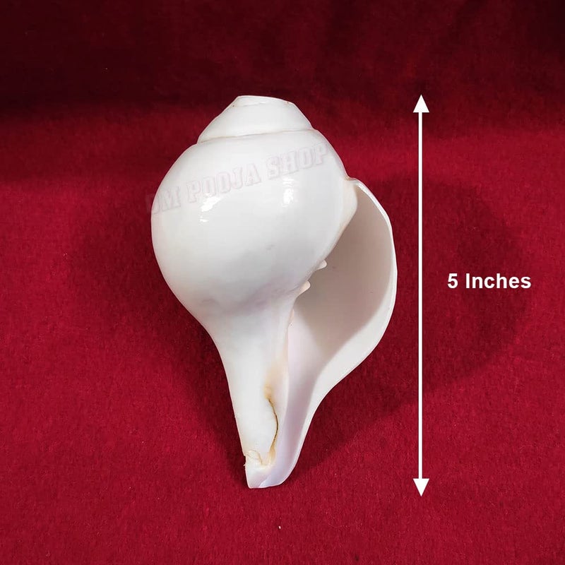 Om Pooja Shop Right Hand Holding Bajane Wala Conch Shankh - Image 5