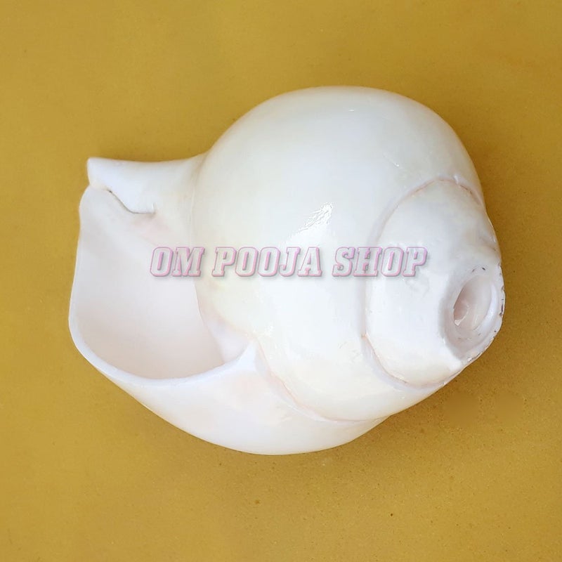 Om Pooja Shop Right Hand Holding Bajane Wala Conch Shankh - Image 2