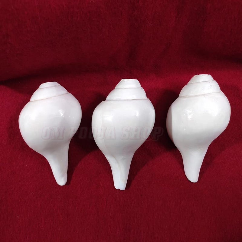 Om Pooja Shop Right Hand Holding Bajane Wala Conch Shankh - Image 4