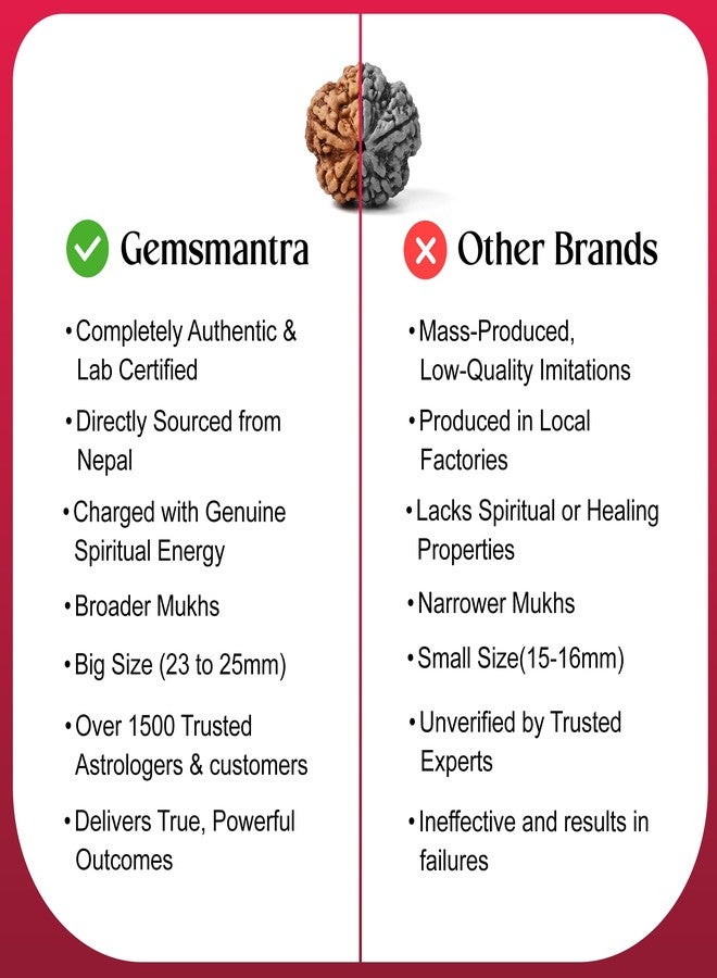 GEMSMANTRA قلادة جيمسمانترا رودراكشا خماسية الأوجه بدون فضة، متوسطة الحجم، أصلية نيبالية، طبيعية ومعتمدة مخبرياً، تساعد على تحسين الثقة بالنفس، والنمو الروحي، وطرد الطاقات السلبية للرجال والنساء - Image 5