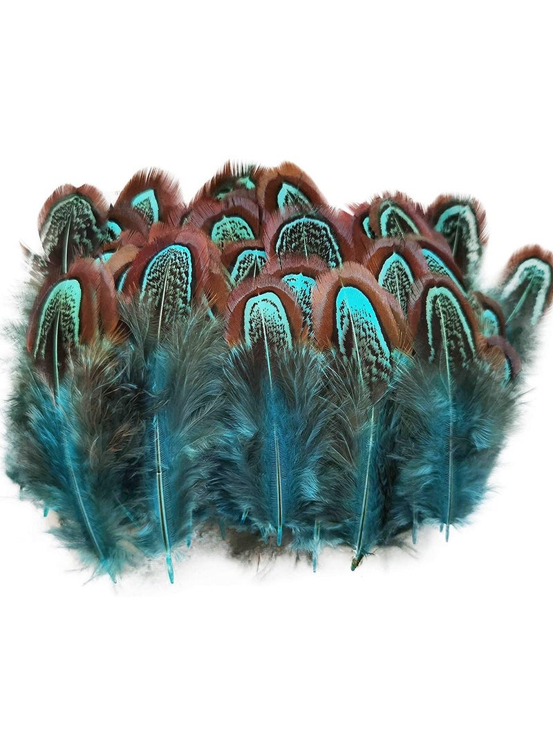 KASTWAVE 100 pcs Natural Pheasant Plumage Feathers 2-4 Inches Plumage Feathers - Image 1