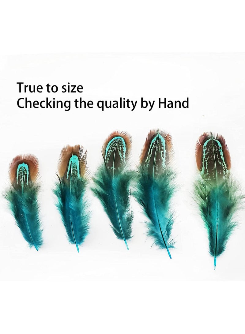 KASTWAVE 100 pcs Natural Pheasant Plumage Feathers 2-4 Inches Plumage Feathers - Image 3