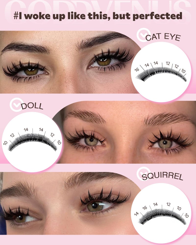 Goddvenus Manga Lash Clusters Kit Natural 300 Pcs Cluster Eyelash Extensions Kit Wispy Fairy Fluffy Eyelash Clusters Anime Cosplay Individual Lash Extensions Kit CC Curve 10-16mm - Image 2