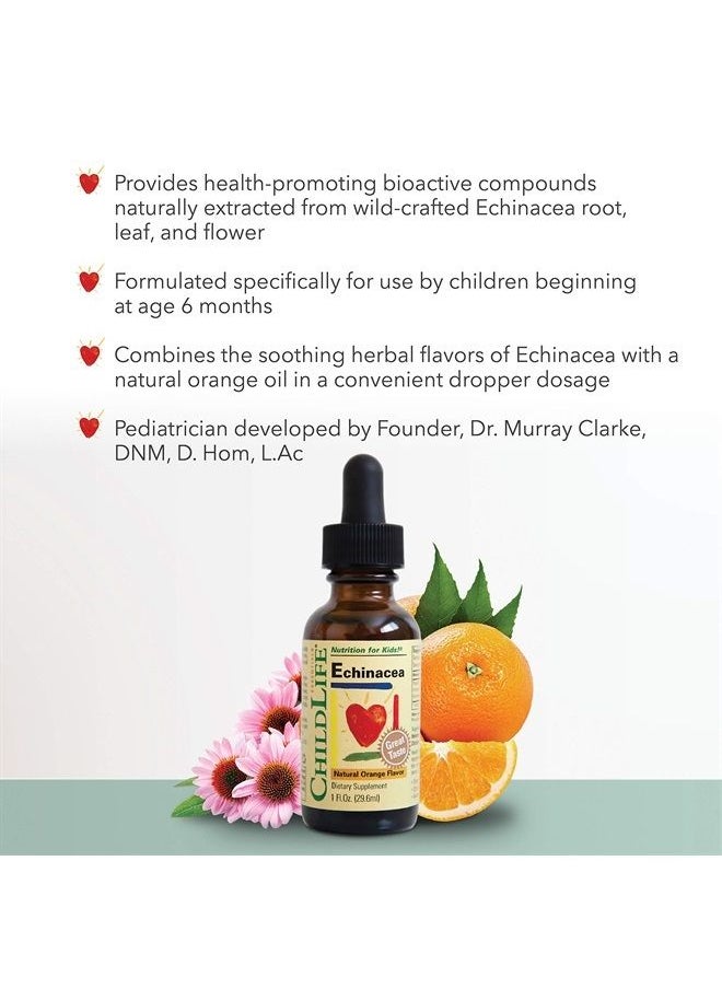 CHILDLIFE ESSENTIALS Liquid Echinacea for Kids - Immune Booster for Kids, All-Natural, Gluten-Free, Allergen-Free, Kids Echinacea Drops - Natural Orange Flavor, 1-Ounce Bottle  - Image 3