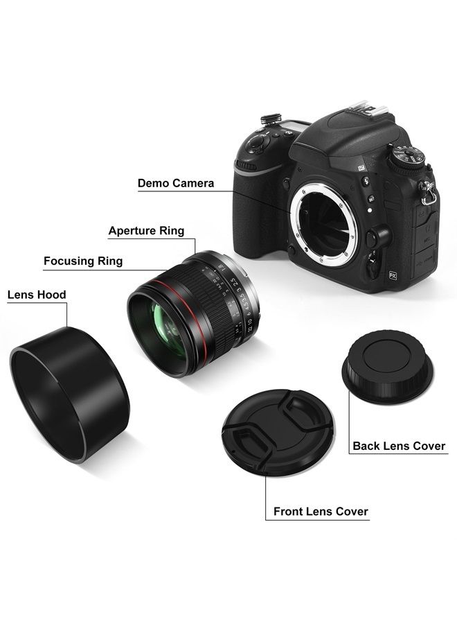 Lightdow 85mm F1.8 Medium Telephoto Manual Focus Full Frame Portrait Lens for Canon EOS Rebel T8i T7i T7 T6 T3i T2i 4000D 2000D 1300D 850D 800D 600D 550D 90D 80D 77D 70D 50D 6D 5D etc - Image 2