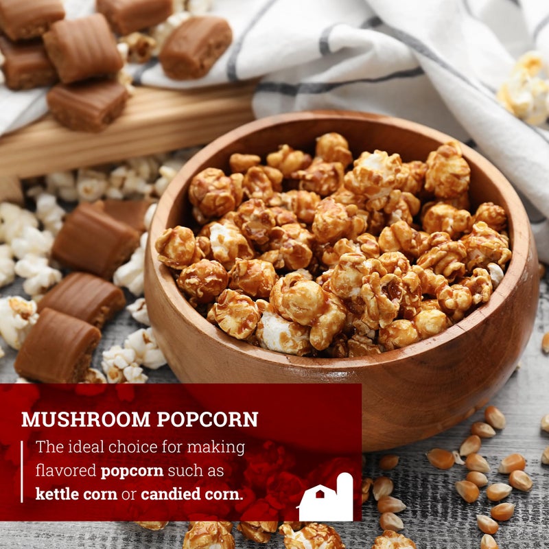 Hoosier Hill Farm Mushroom Popcorn, 4LB (Pack of 1) - Image 3