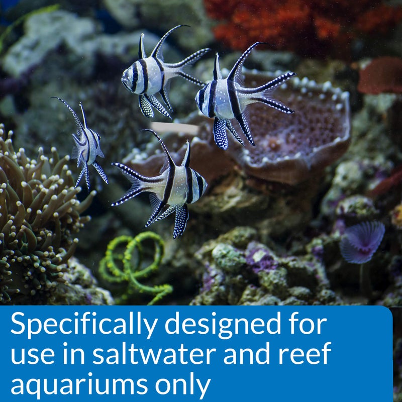 API MARINE STRESS COAT Saltwater Aquarium Water Conditioner 16-Ounce Bottle - Image 5