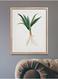 Date Palm Tree (Botanical Lithograph by Italian Botanist Giorgio Gallicio) A4 A3 A2 high resolution giclée art print, also available framed