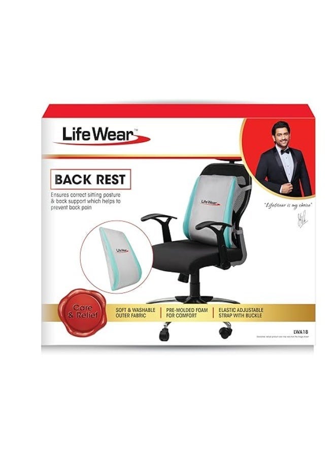 LifeWear Back Rest, Back Support for Office, Home, and Car Sitting, Foam Lumbar Support for Back Pain Relief, Anatomical Shape, With Adjustable Strap and Removable Cover, Gray Color, Universal Size - Image 1