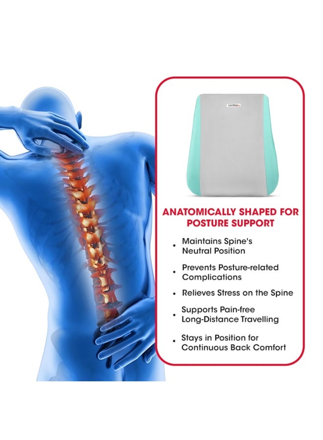 LifeWear Back Rest, Back Support for Office, Home, and Car Sitting, Foam Lumbar Support for Back Pain Relief, Anatomical Shape, With Adjustable Strap and Removable Cover, Gray Color, Universal Size - Image 4